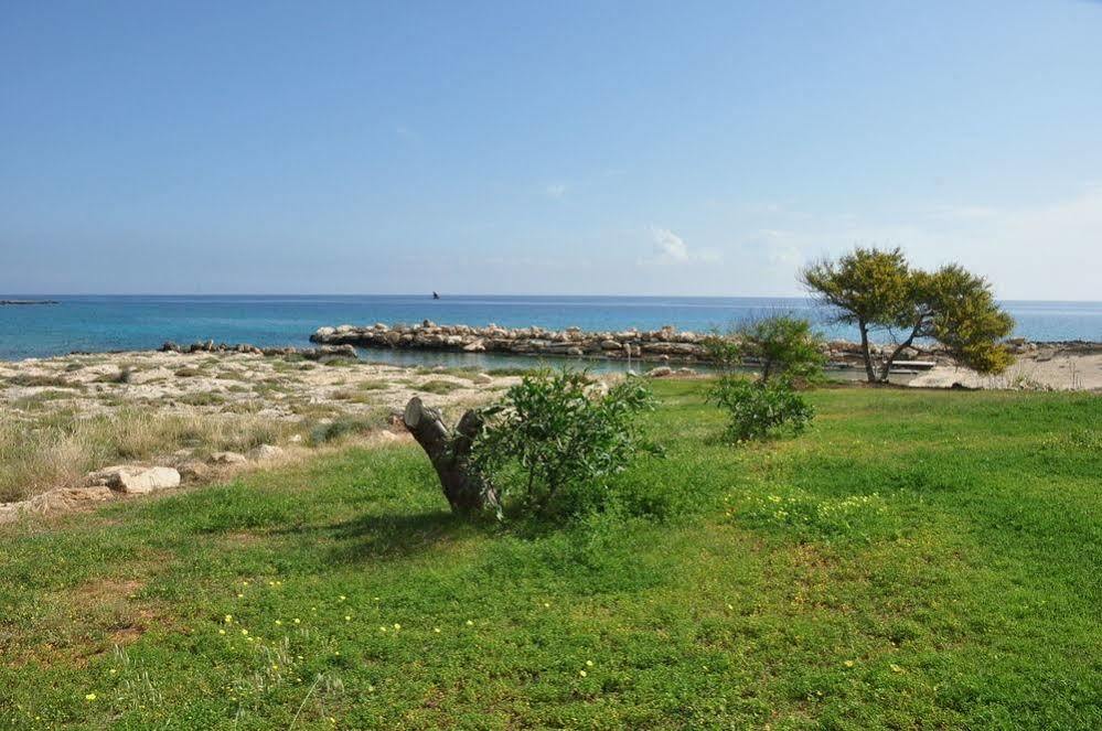 Harry'S Hotel Protaras Exterior photo